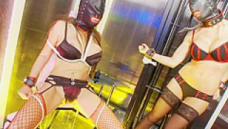Glam girls bound, gagged and caged - FapHouse